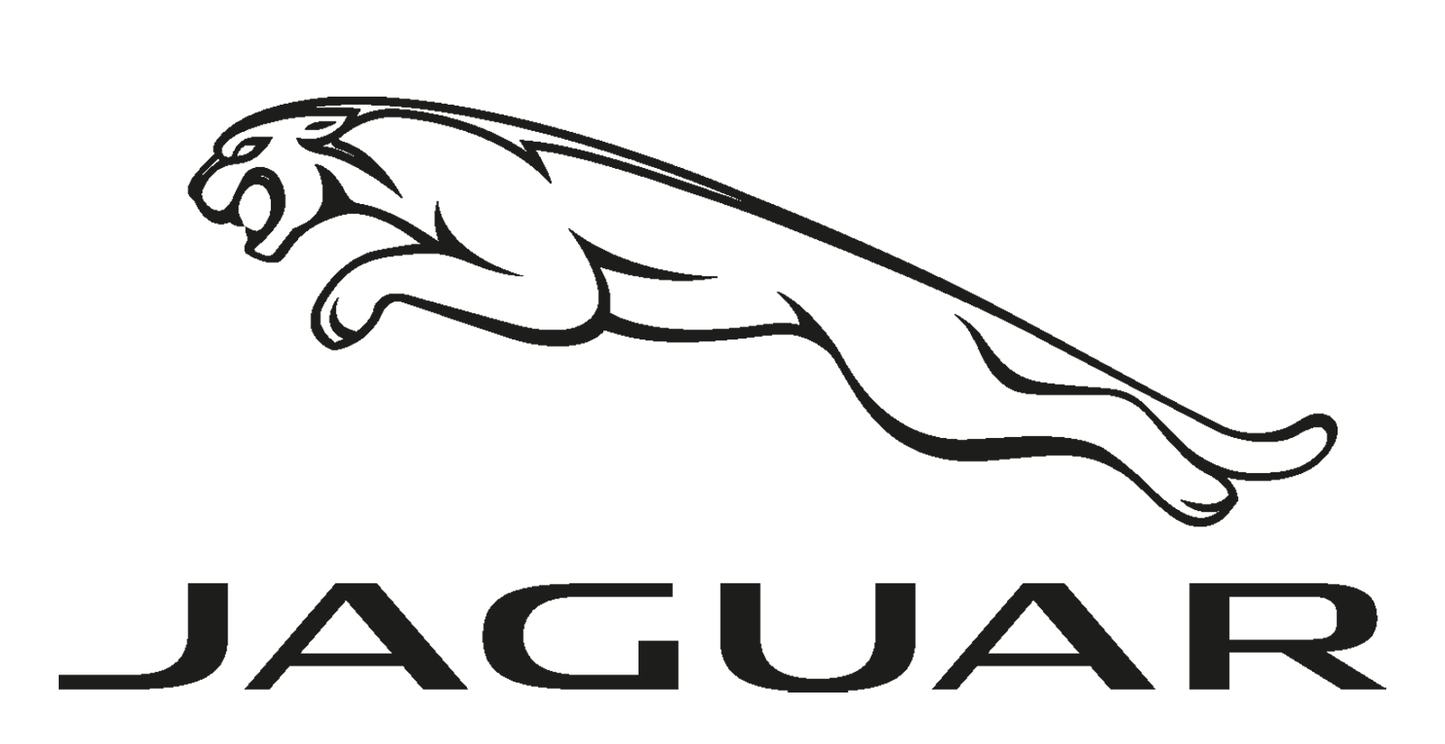 Land Rover / Jaguar ECM ECU MAIL IN Cloning SERVICE / Plug and Play Bosch Denso